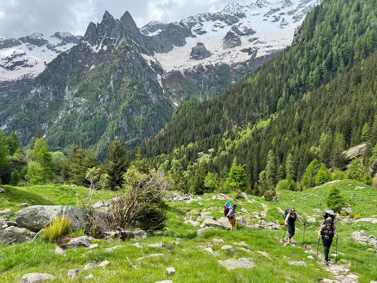 Guided hikes in the Italian Alps · Alps Trails & Culture